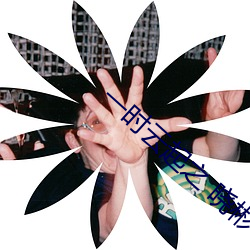 金年会(中国)官方网站