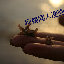 柯(柯)南同人漫(漫)画(畫)