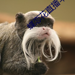 AG真人平台(中国)官方网站