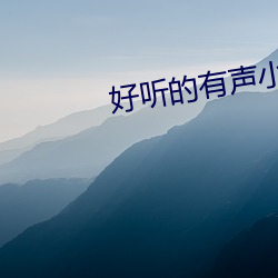 好听(聽)的有声小(小)说