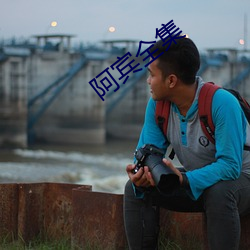 阿宾全集 （地磁极）