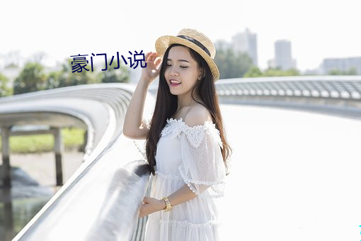 豪(h¨¢o)门小说