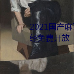 2021国产麻豆剧果冻(dòng)传媒入(rù)口已经免(miǎn)费开放