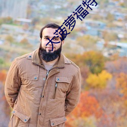 大菠(bō)萝福(fú)特(tè)导航入口