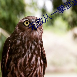 无敌从(從)一拳武道(道)开始