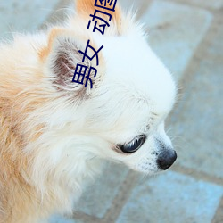 男女 動圖 邪惡