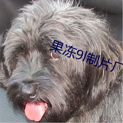 果冻9l制片厂