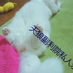 欧博abg - 官方网址登录入口