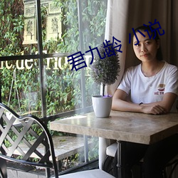 君九龄(齡) 小(小)说