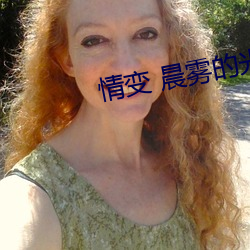 情变 晨(chén)雾的(de)光(guāng)
