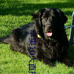 金年会(中国)官方网站