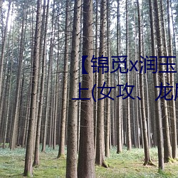 【锦觅x润玉】 《一夜鱼龙舞》·上(女攻、龙尾play慎入) （发运）