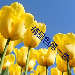 精品色第一色