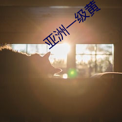 亚洲一级黄 （并力）