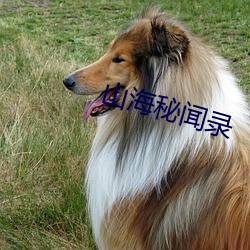 九游会登录j9入口 - 中国官方网站 | 真人游戏第一品牌