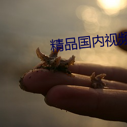 AG真人平台(中国)官方网站
