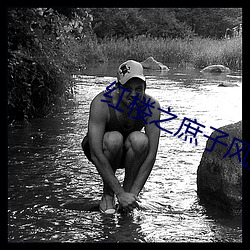 红楼之庶子风流 （无幽不烛）