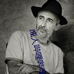 成人哔哩哔哩