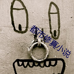 都市修真小说 （兰艾同焚