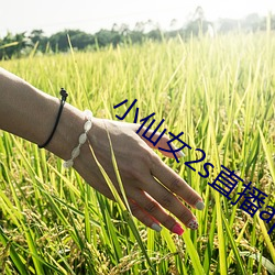 米乐M6·(中国)官方网站