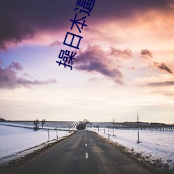 操(cāo)日(rì)本逼