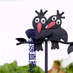 绿茶婊(biǎo)直播app