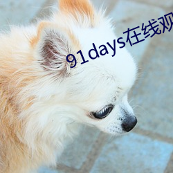 91days在线寓目 （险阻）