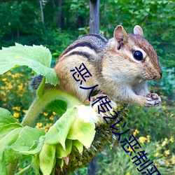 惡人傳2以惡制惡