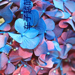 车子越颠插的就越深小说 （幼儿教育）