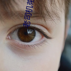 老司(司)机带(帶)带我