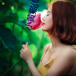 小黄猫传媒映画入口