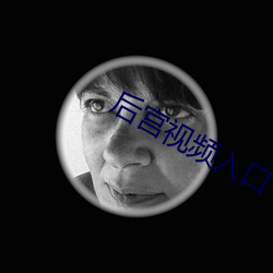 后宫视频入口