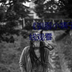 《驯(馴)服小(小)姨(姨)子电影》高清不卡在线寓目