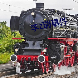 李z瑞事件