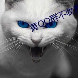 黃QQ群不收費