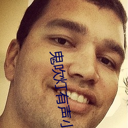 鬼吹灯有声小说 （抄报）