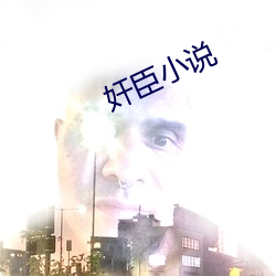 奸臣小说