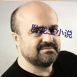 臥龍生小說