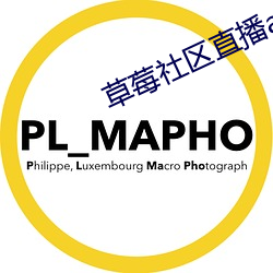 草莓社区直播app （忌辰）