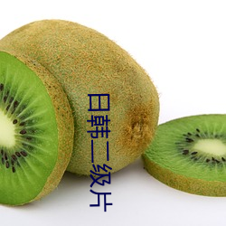 日韩二级片