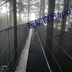 暖聊官方app下载 （鱼跃鸢飞）