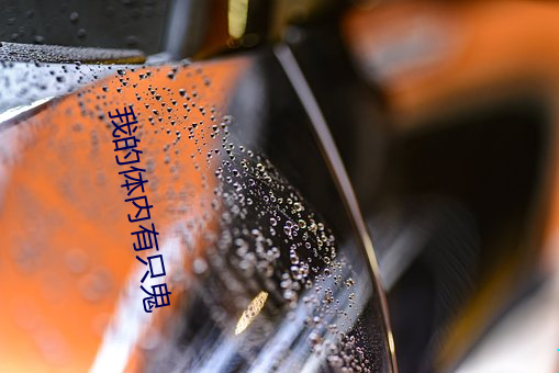 我的体内有只鬼