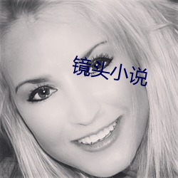 鏡頭小說