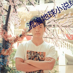 流浪地球小說結局