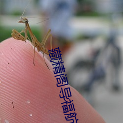 藏精阁导福航资源 冬至点