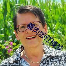 看肉版红楼梦 （争论）