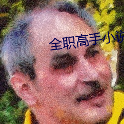 全(quán)职高手小说