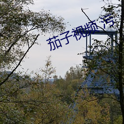 茄子视频 污 （无胫而来）