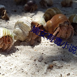嫡(dí)女有毒小说