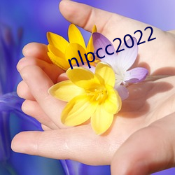 nlpcc2022